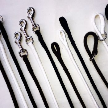 Show Leads and Collars