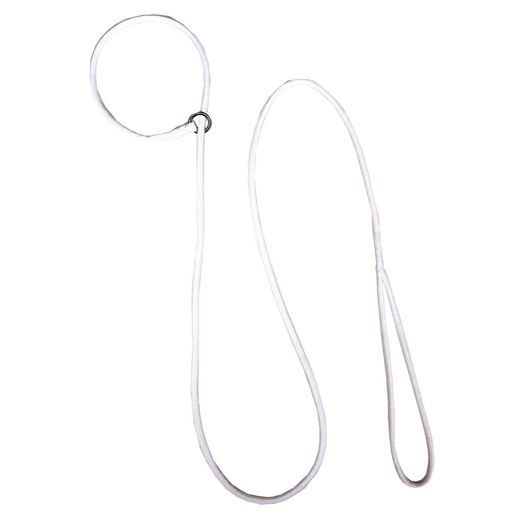 Coastcord Slip Lead 1/4" x 54" White