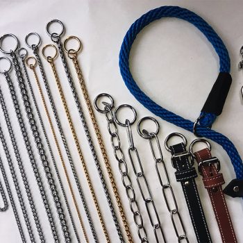 Collars & Leads