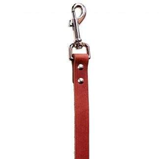 Northern Heritage Leather Lead 3/4" x 6' Brick