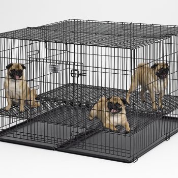 Puppy Pens