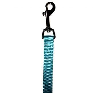 Nylon Lead 5/8" x 6' Iceberg Blue Royale