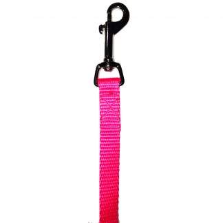 Nylon Lead 5/8" x 6' Northern Lights Pink