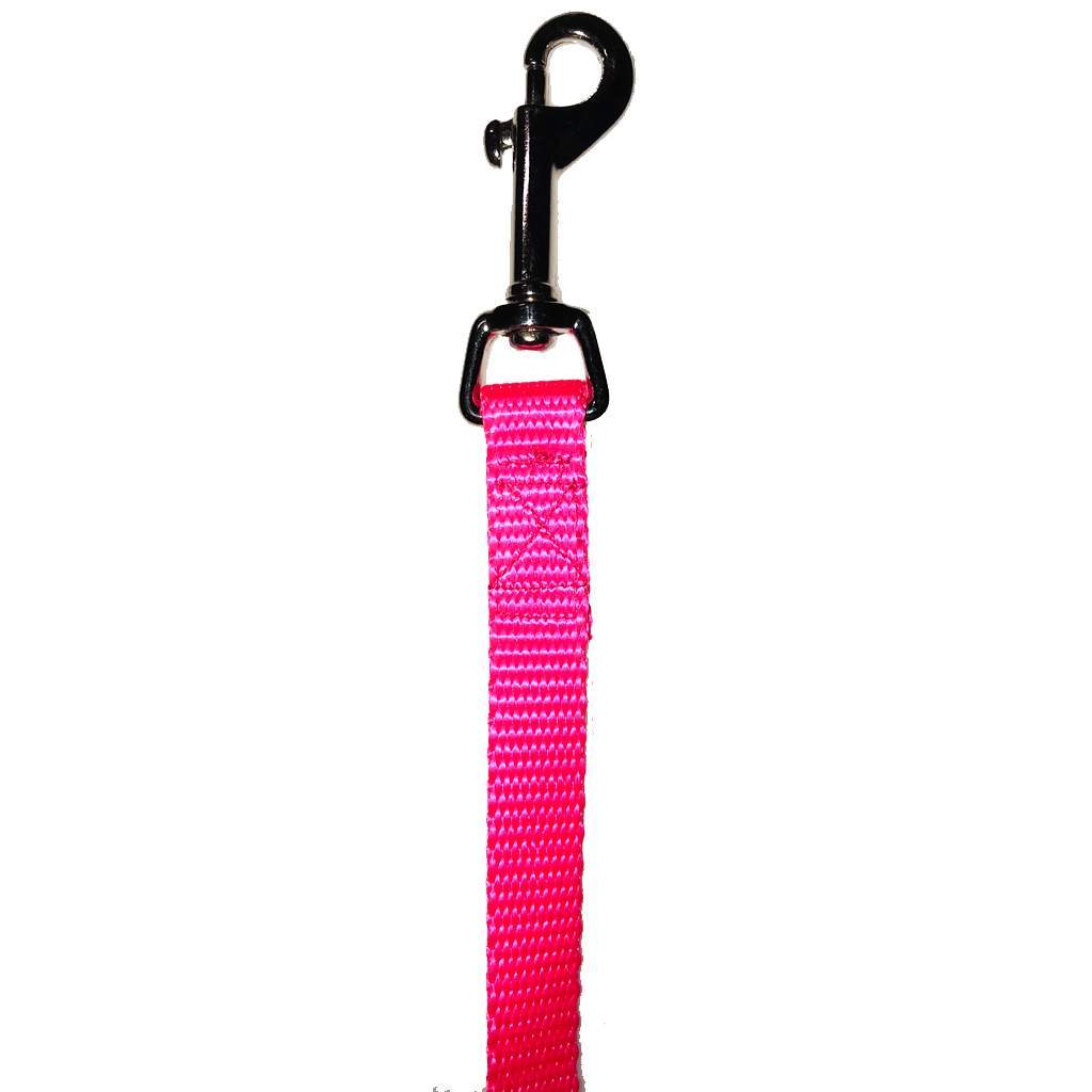 Nylon Lead 5/8" x 6' Northern Lights Pink
