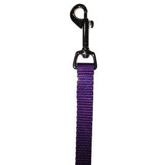 Nylon Lead 5/8" x 6' Wildflower Purple
