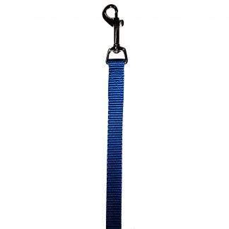 Nylon Lead 5/8" x 6' Blue Royale