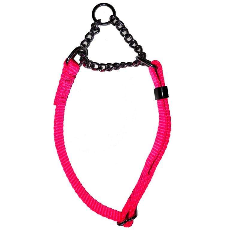 Martingale Nylon w/chain 5/8" x 9-15" Northern Lights Pink