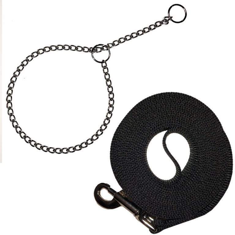 Training Leads & Collars
