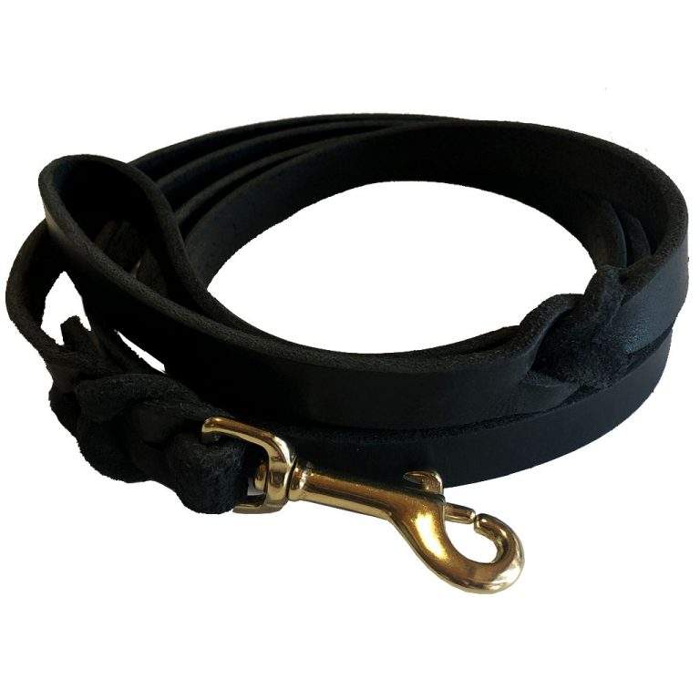 Northern Heritage Leather Lead 5/8" x 2' Braided Ends Brass Snap