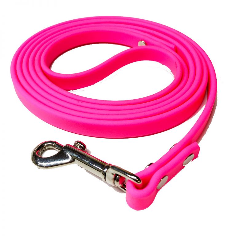 Beta Leash 1/2" x 4' Heavyweight Pink