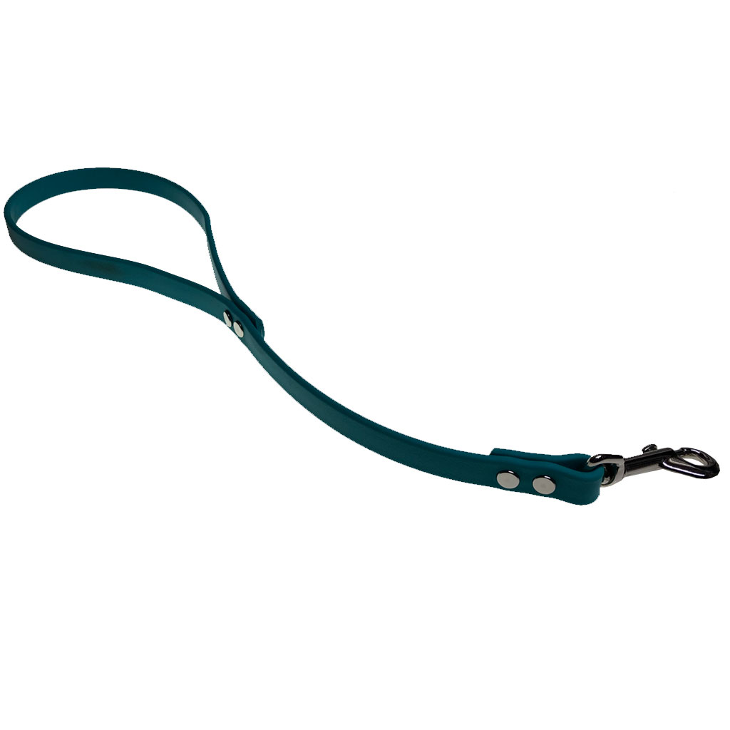 Beta Tag Leash 5/8" x 20" Heavyweight Teal