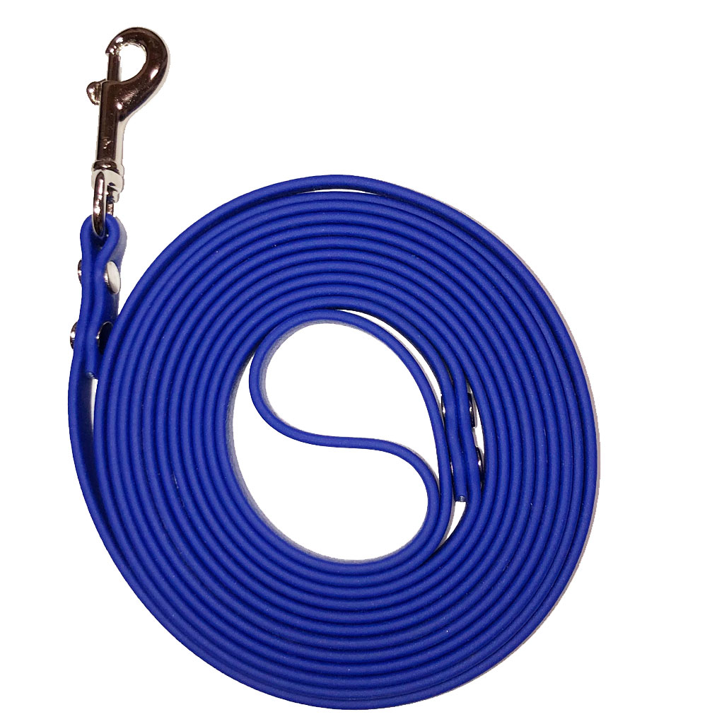 Beta Long Line Leash 3/8" x 10' Blue